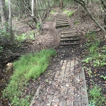 Shark River Park - Hiking trail. - Parks Near Me - Wall Township, New Jersey