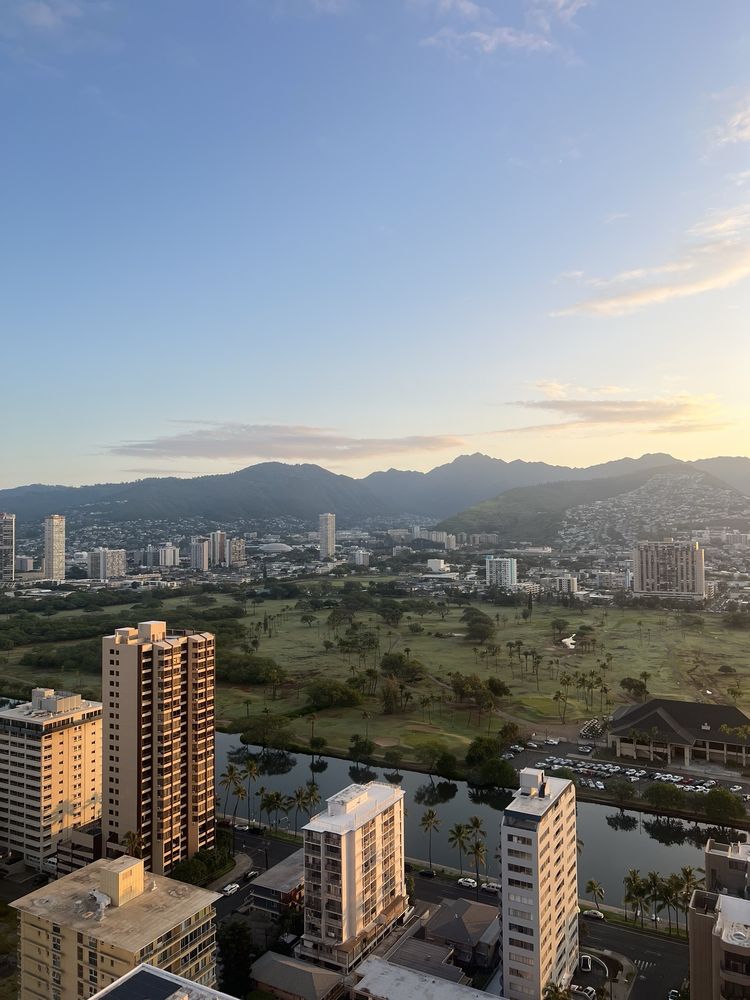 Waikiki Banyan