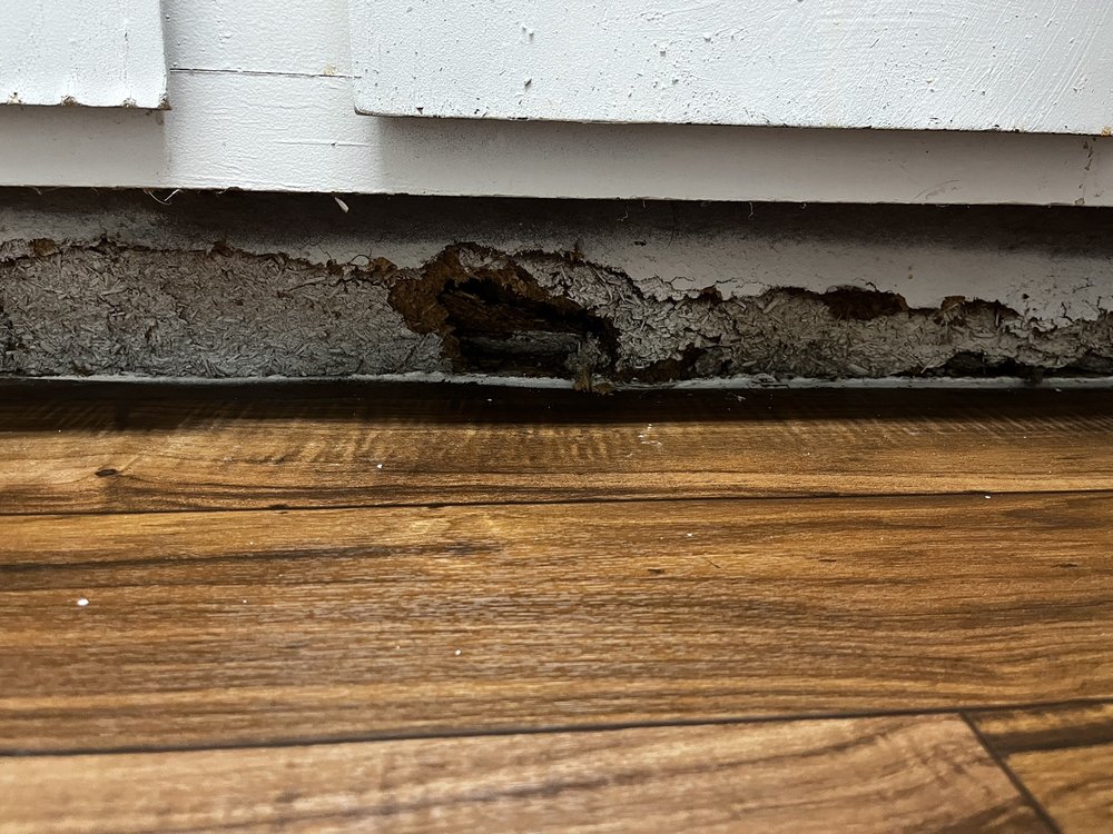 WESTGATE APARTMENTS Updated October 2024 17 Photos 4003 N Belt