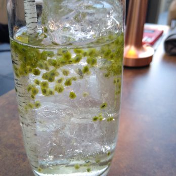 The Matheson - Shiso Collins - Wine Bars Near Me - Healdsburg, California