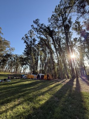 Anthony Chabot Regional Park by null