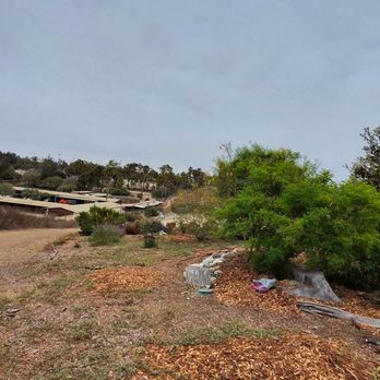 Urban Forest - Parks Near Me - Huntington Beach, California Urban Forest - Parks Near Me - Huntington Beach, California