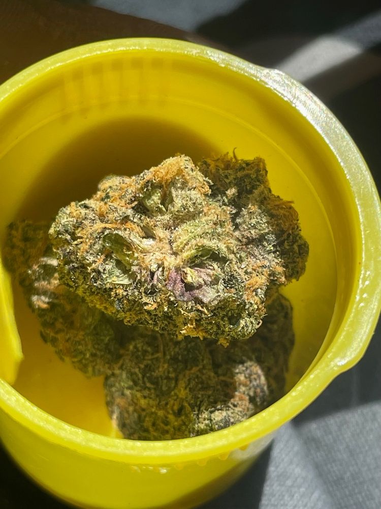 MT KUSHMORE CLOSED Updated April 2024 12 Photos & 10 Reviews 648 N Mt Vernon Ave, San