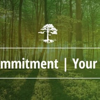 Northern Woods Tree Service - Tree Services Near Me - Great Falls, Virginia Northern Woods Tree Service - Tree Services Near Me - Great Falls, Virginia