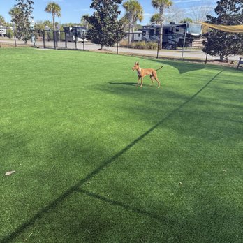 St. Augustine RV Resort - Dog park nice for breeds that like to run! - RV Parks Near Me - St. Augustine, Florida St. Augustine RV Resort - Dog park nice for breeds that like to run! - RV Parks Near Me - St. Augustine, Florida