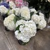 Blue Iris Flowers Bouquet gift card