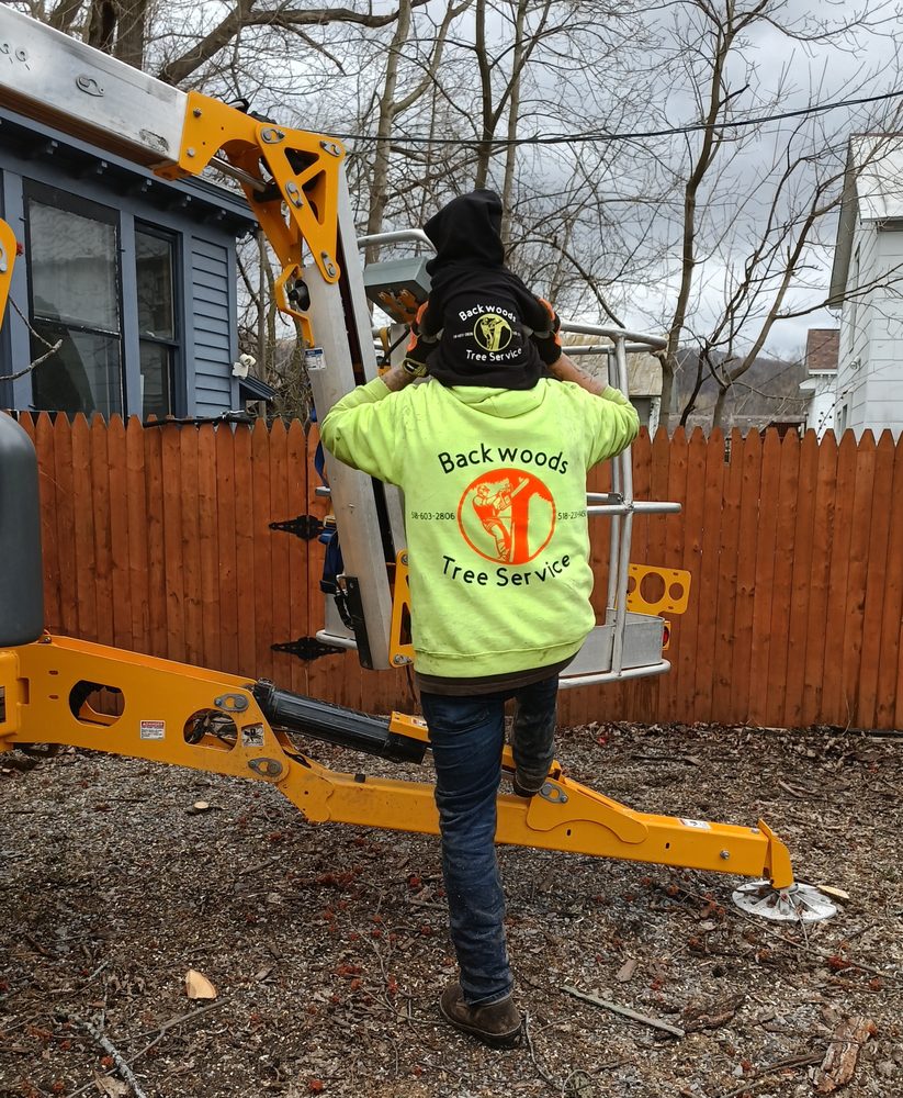 Backwoods Tree Service - tree service in Richmondville, NY