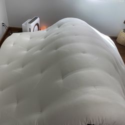 The Futon Shop