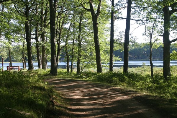 MID FOREST LODGE MEMBERSHIP visual data 5