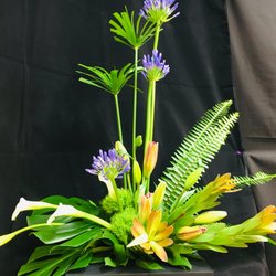 Boca Raton Florist - Something striking!