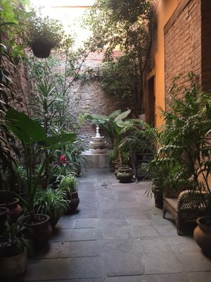 EL PATIO 77 by null