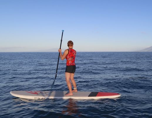 Turtle Town SUP Rentals by null