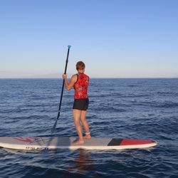 Turtle Town SUP Rentals