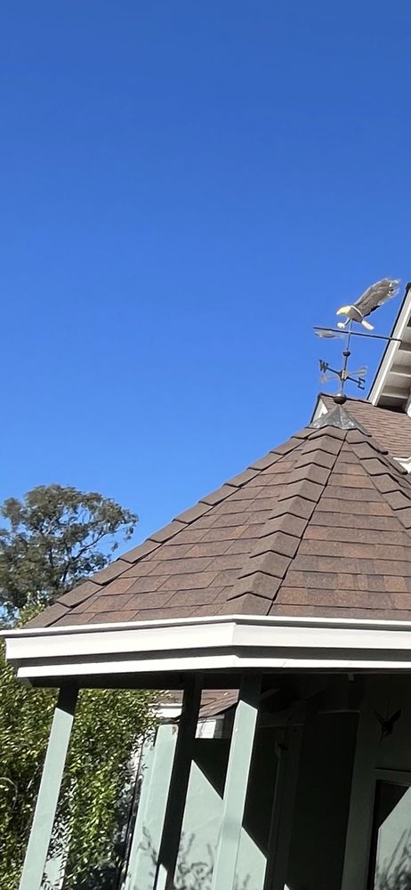 Slide of Moriarty's Roofing