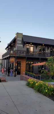 Sweet Octopus by null