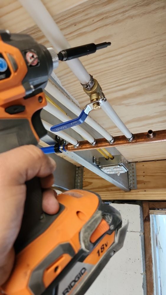 Slide of Larios Company