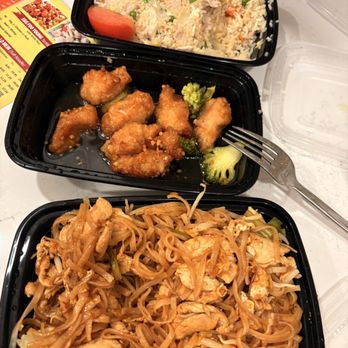 Siam Dragon Asian Bistro - Honey Garlic Chicken, rice and noodles - Asian Fusion Near Me - Miami, Florida