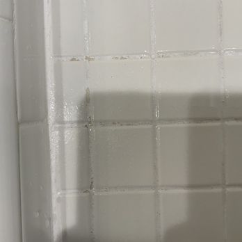 Brady Seal - Grout Services Near Me