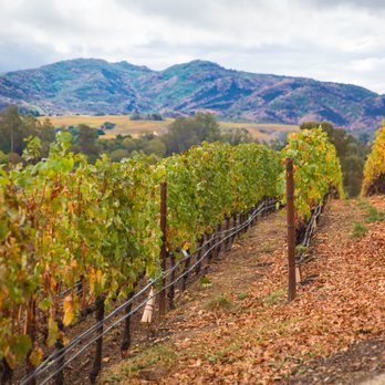 Covert Estate - Vineyards - Wineries Near Me - Napa, California
