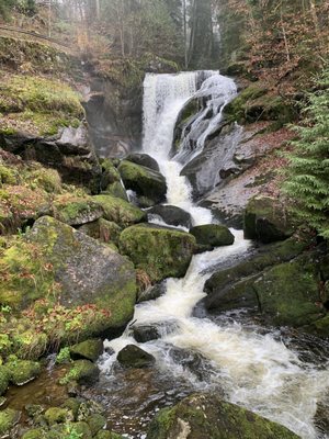 Triberg Waterfalls by null