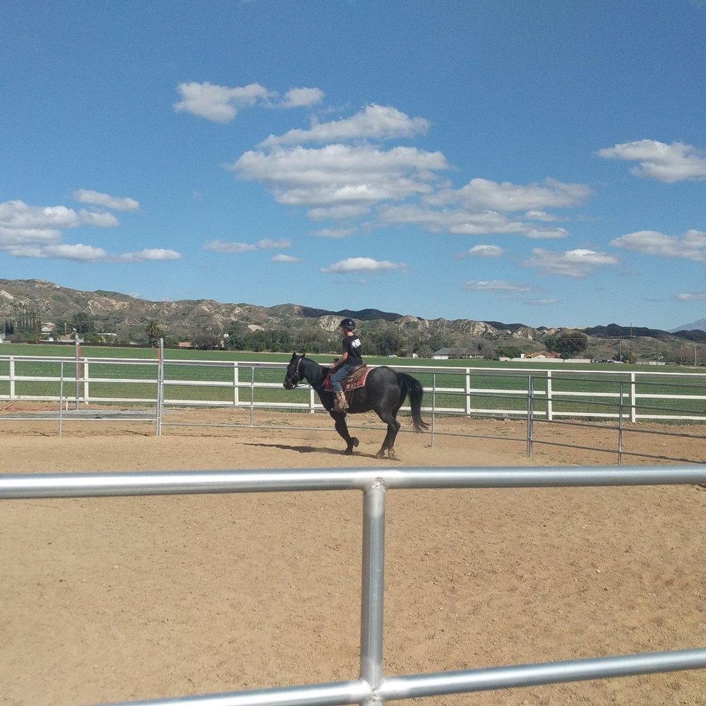 Providence Heart Ranch - Horseback Riding Near Me - Moreno Valley, California
