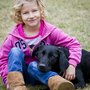 Photo of Sirius Dog Training