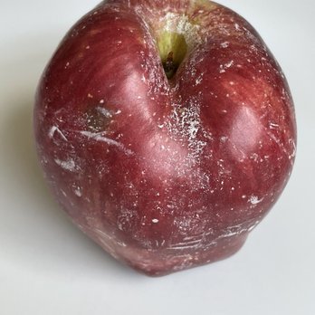 Panera Bread - I wouldn't eat this apple. Even after washing, it still had that white stuff on it. - Salad Near Me - Rockville, Maryland Panera Bread - I wouldn't eat this apple. Even after washing, it still had that white stuff on it. - Salad Near Me - Rockville, Maryland