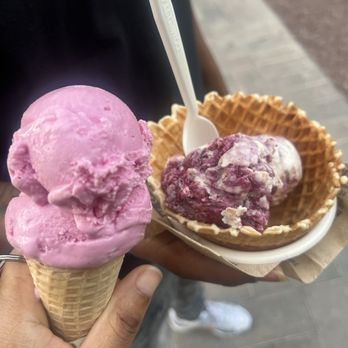 Jeni's Splendid Ice Creams - Bubble gum & bramble crisp in a waffle cone - Ice Cream & Frozen Yogurt Near Me - Tampa, Florida Jeni's Splendid Ice Creams - Bubble gum & bramble crisp in a waffle cone - Ice Cream & Frozen Yogurt Near Me - Tampa, Florida