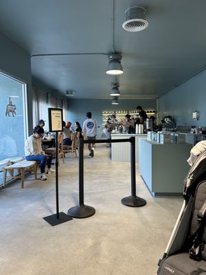 The Boy & The Bear - Gardena by null