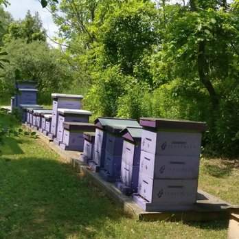 Terre Bleu - The apiary - Farms Near Me - Elora, Ontario