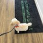 Photo of Earthwise Pet-Munchies Natural Pet Foods