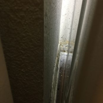 Mountain Shadows Apartments - Mold on an internal door of the apartment - Apartments Near Me - Rohnert Park, California Mountain Shadows Apartments - Mold on an internal door of the apartment - Apartments Near Me - Rohnert Park, California