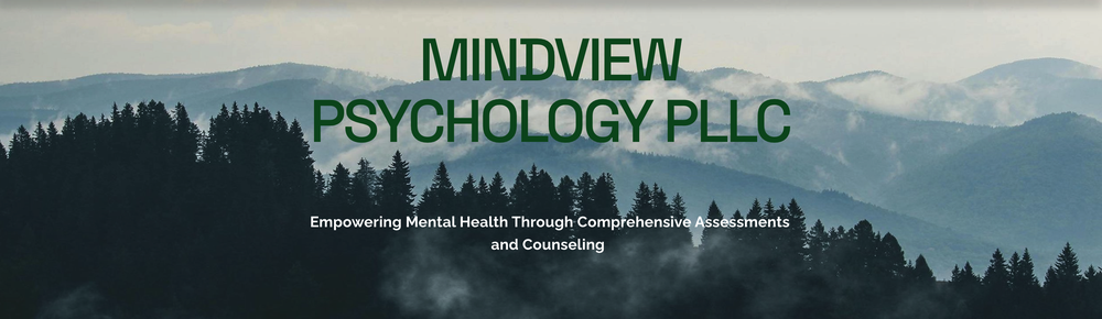 Mindview Psychology - child therapist in Colleyville, TX