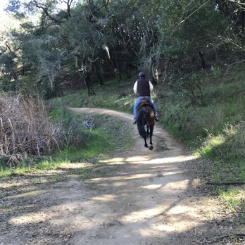 Indian Valley Open Space Preserve - A friendly guy and his horse passed by us on our hike. The trails are frequented by horseback riders - Parks Near Me - Novato, California