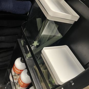 Pet Supplies Plus Phoenix - Moon Valley - Variety of spritzers, towels & treats for your pup! - Pet Stores Near Me - Phoenix, Arizona Pet Supplies Plus Phoenix - Moon Valley - Variety of spritzers, towels & treats for your pup! - Pet Stores Near Me - Phoenix, Arizona