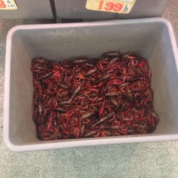 Maxim Market - Live crawfish - Seafood Markets Near Me - San Jose, California
