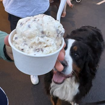 Cal's Creamery - Heath bar - Ice Cream & Frozen Yogurt Near Me - Reading, Massachusetts Cal's Creamery - Heath bar - Ice Cream & Frozen Yogurt Near Me - Reading, Massachusetts