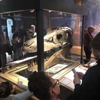 Field Museum - Museums Near Me - Chicago, Illinois Field Museum - Museums Near Me - Chicago, Illinois