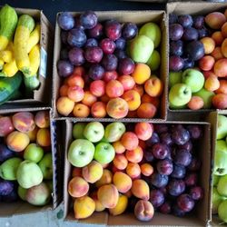 Ramona Fresh Fruits