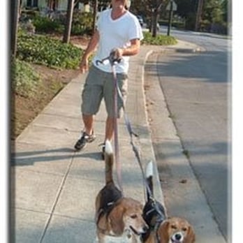 A Happy House Sitters - Dog Walkers Near Me A Happy House Sitters - Dog Walkers Near Me