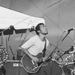Festival Palomino