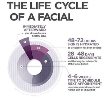 Sphynx Spa Suite - The life cycle of a facial! - Skin Care Near Me - Chicago, Illinois Sphynx Spa Suite - The life cycle of a facial! - Skin Care Near Me - Chicago, Illinois