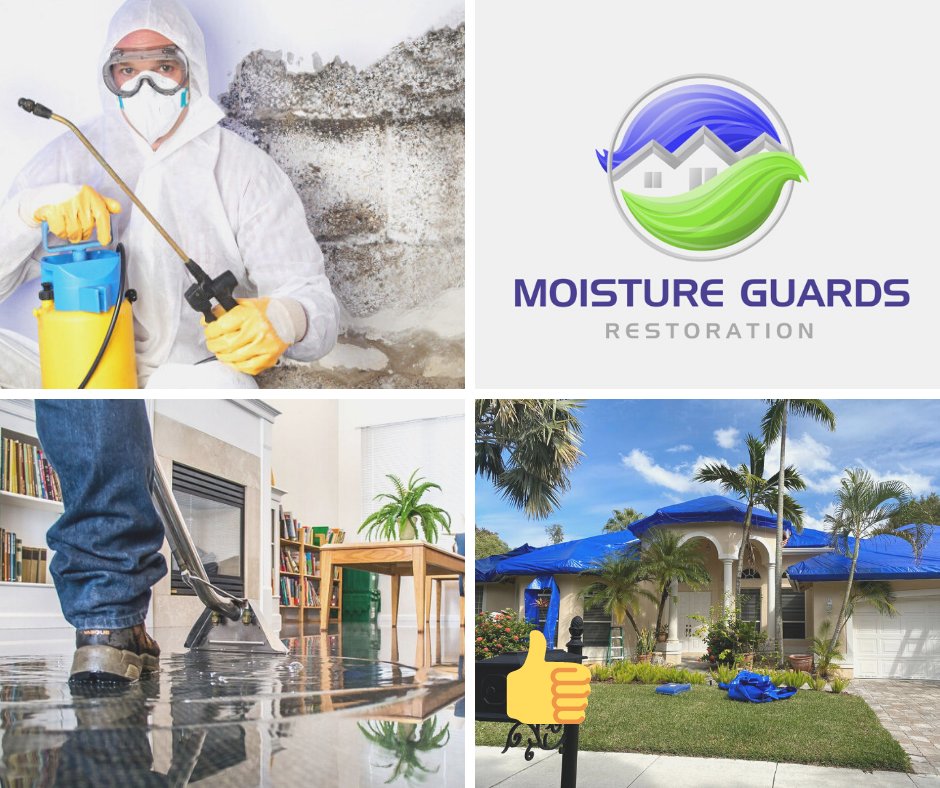 Slide of Moisture Guards