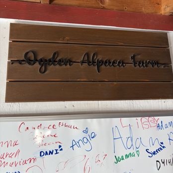 Ogden Alpaca farm - Food Tours Near Me Ogden Alpaca farm - Food Tours Near Me