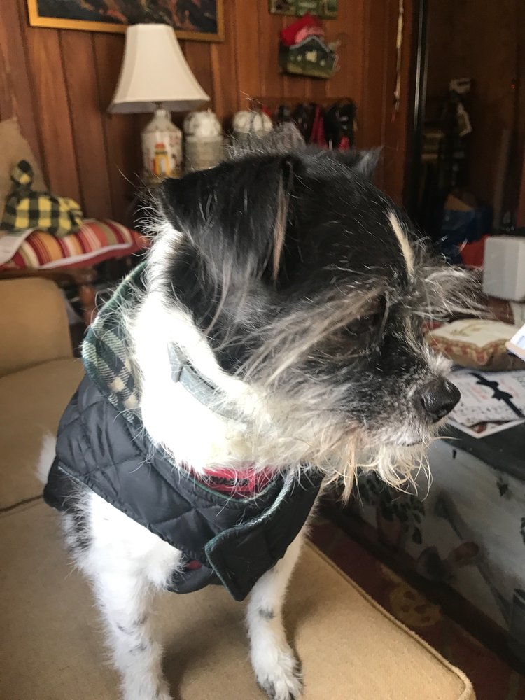 SOUTH SALEM ANIMAL HOSPITAL Updated October 2024 18 Reviews 1310