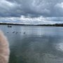Photo of John Collins Park