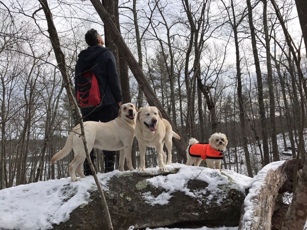 CHI Updated August 2024 49 Photos Burrillville, Rhode Island