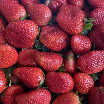 Lanier’s Produce - Plant city strawberries - Fruits & Veggies Near Me - Groveland, Florida Lanier’s Produce - Plant city strawberries - Fruits & Veggies Near Me - Groveland, Florida