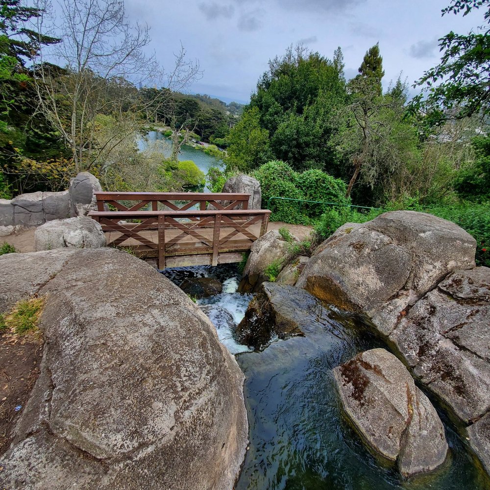 Dog Friendly Activities in San Francisco: Ultimate Fun Guide