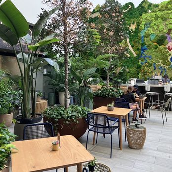 The Pots Cafe - Cafes Near Me - Boca Raton, Florida